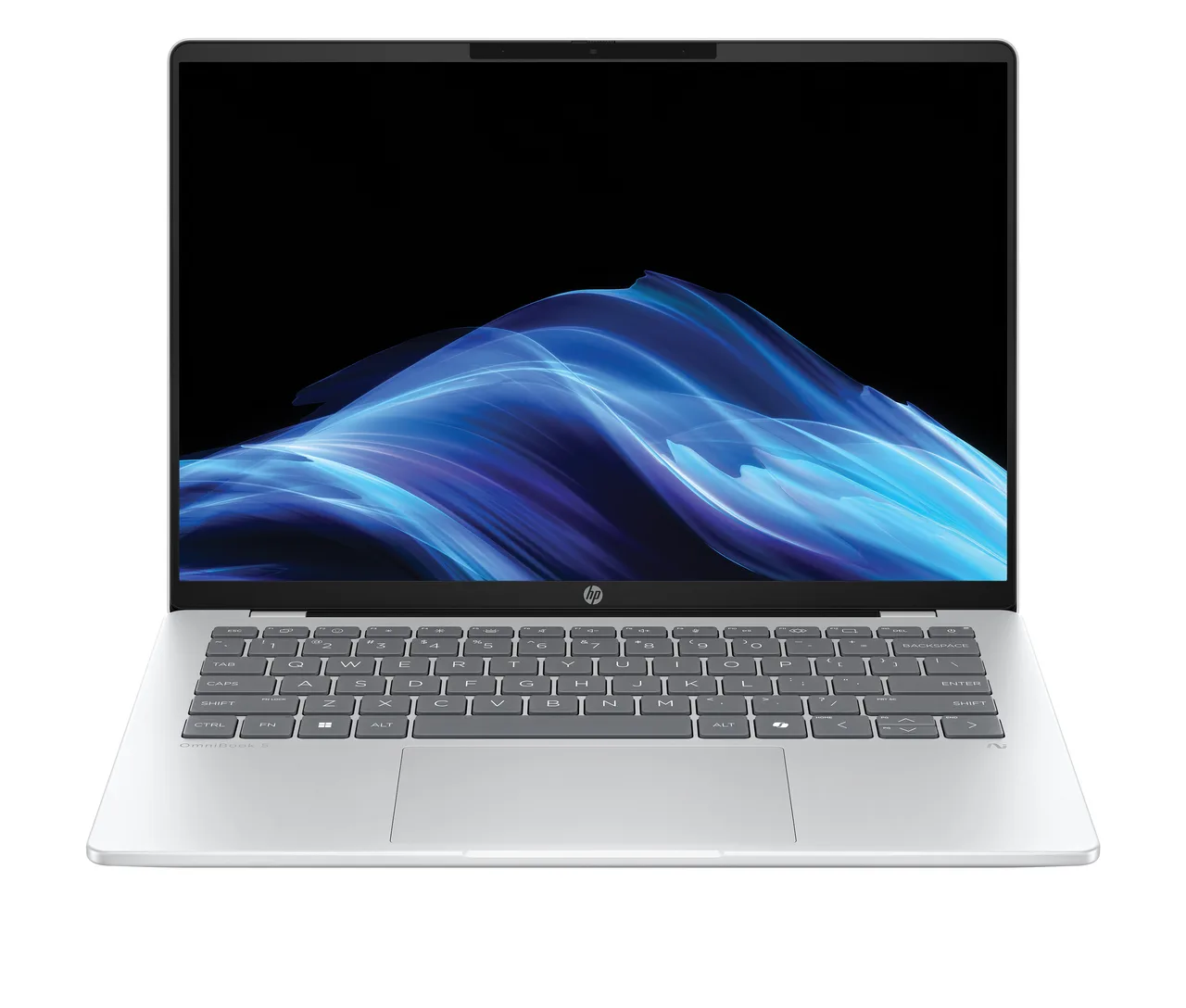HP OmniBook 5 14 (Snapdragon X Plus X1P-42-100, 2025)